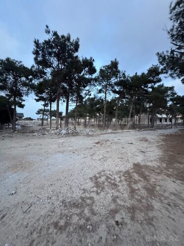 Продаётся  участок 144 сот, пос. Мардакан, photo 7 from 11