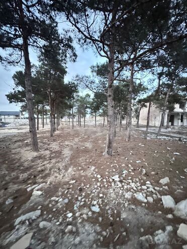 Продаётся  участок 144 сот, пос. Мардакан, photo 9 from 11