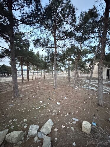 Продаётся  участок 144 сот, пос. Мардакан, photo 3 from 11