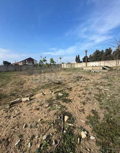 Продаётся  участок 130 сот, пос. Шувеляны, photo 4 from 6