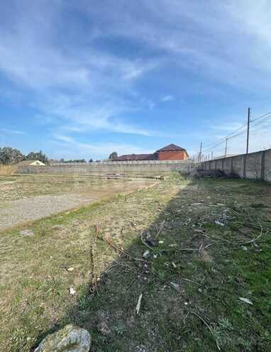 Продаётся  участок 130 сот, пос. Шувеляны, photo 5 from 6