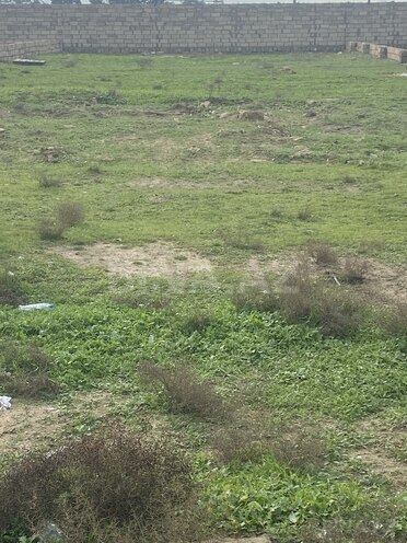 Продаётся  участок 5 сот, пос. Шувеляны, photo 4 from 7