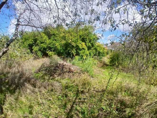 Satılır  torpaq 18 sot, Maştağa q., photo 6 from 10