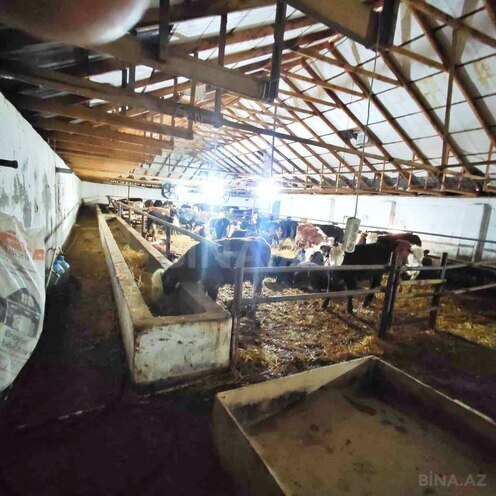 Продаётся 2-комн. дом/дача 70 м², photo 18 from 28