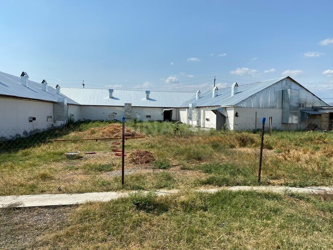 Продаётся 2-комн. дом/дача 70 м², photo 13 from 28