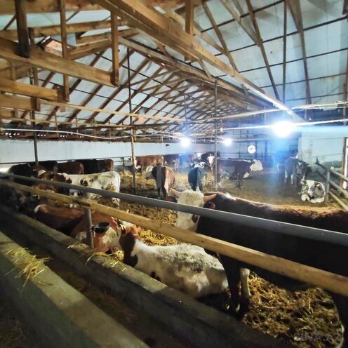 Продаётся 2-комн. дом/дача 70 м², photo 23 from 28