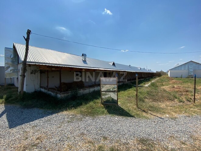 Продаётся 2-комн. дом/дача 70 м², photo 14 from 28