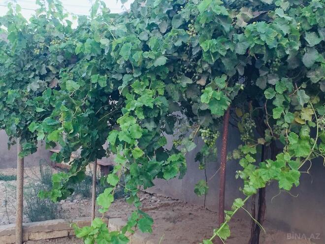 Satılır 7 otaqlı həyət evi/bağ evi 540 m², Mərdəkan q., photo 13 from 32