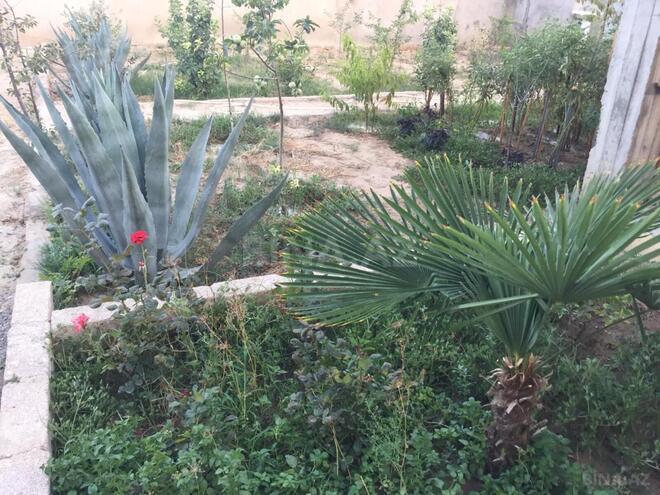 Satılır 7 otaqlı həyət evi/bağ evi 540 m², Mərdəkan q., photo 29 from 32