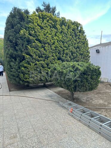 Продаётся 5-комн. дом/дача 240 м², пос. Мардакан, photo 5 from 18