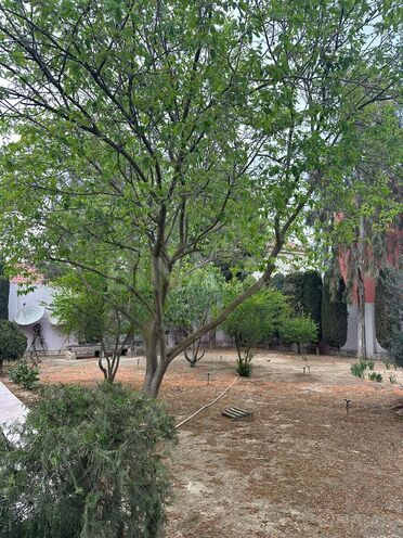 Продаётся 5-комн. дом/дача 240 м², пос. Мардакан, photo 7 from 18