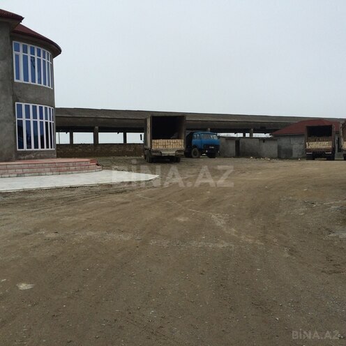 Satılır  torpaq 70 sot, Astara r., photo 5 from 8