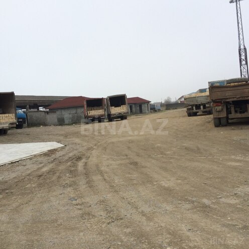 Satılır  torpaq 70 sot, Astara r., photo 6 from 8