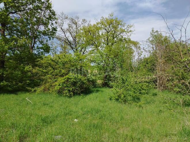 Продаётся  участок 27 сот, photo 4 from 7