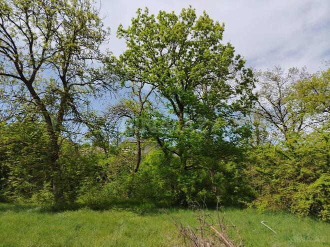 Продаётся  участок 27 сот, photo 3 from 7