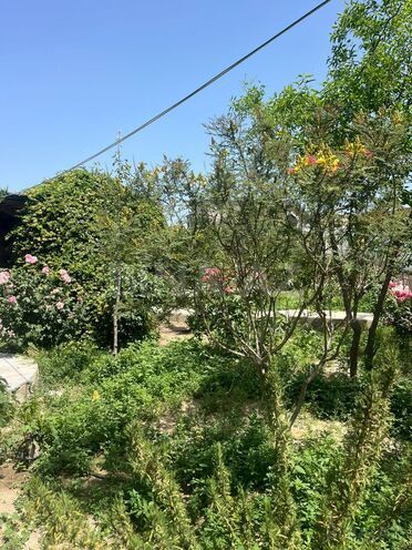 Satılır  torpaq 20 sot, Bilgəh q., photo 10 from 11