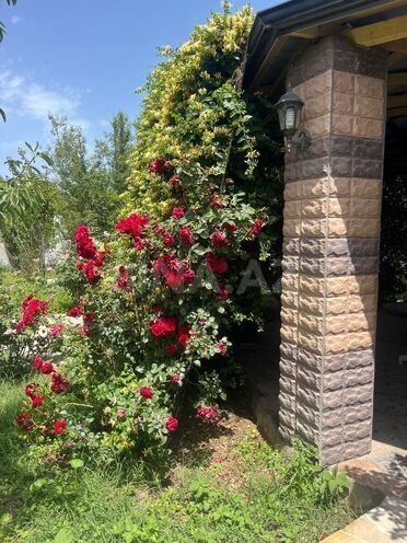 Satılır  torpaq 20 sot, Bilgəh q., photo 8 from 11