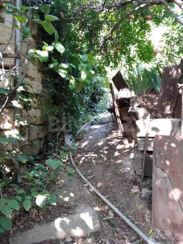 Satılır  torpaq 4.9 sot, Avtovağzal m., photo 4 from 11