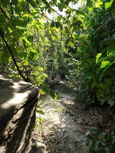 Satılır  torpaq 4.9 sot, Avtovağzal m., photo 6 from 11