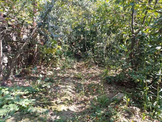 Satılır  torpaq 4.9 sot, Avtovağzal m., photo 7 from 11