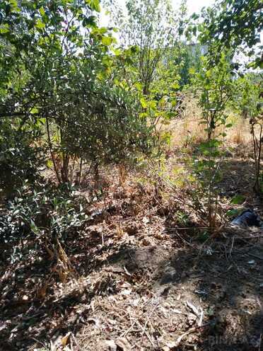 Satılır  torpaq 4.9 sot, Avtovağzal m., photo 9 from 11