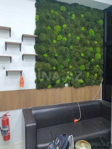 Продаётся  объект 68 м², м. Иншаатчылар, photo 7 from 13