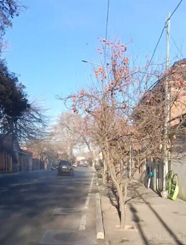 Продаётся  участок 3 сот, photo 3 from 5