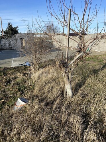 Satılır  torpaq 5 sot, Albalılıq q., photo 5 from 9