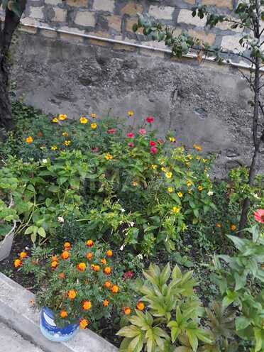 Сдаётся 3-комн. дом/дача 100 м², photo 10 from 18