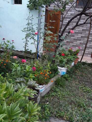 Сдаётся 3-комн. дом/дача 100 м², photo 8 from 18