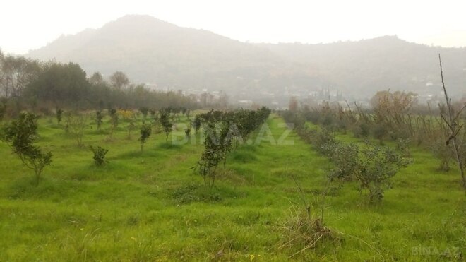 Satılır  torpaq 50 sot, Astara r., photo 5 from 12