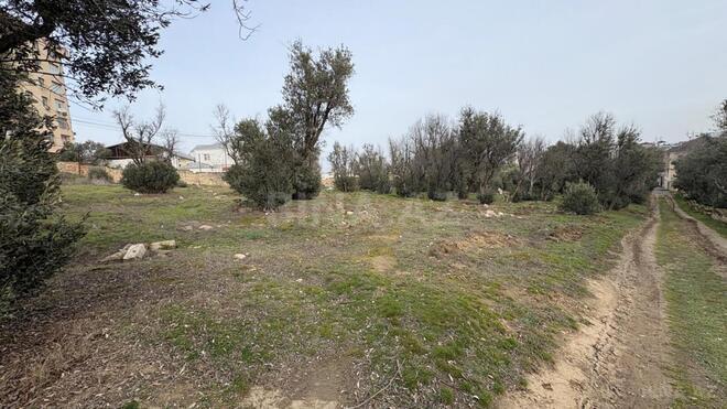 Продаётся  участок 12 сот, м. Насими, photo 5 from 8