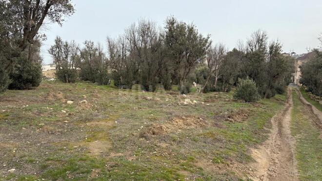 Продаётся  участок 12 сот, м. Насими, photo 4 from 8