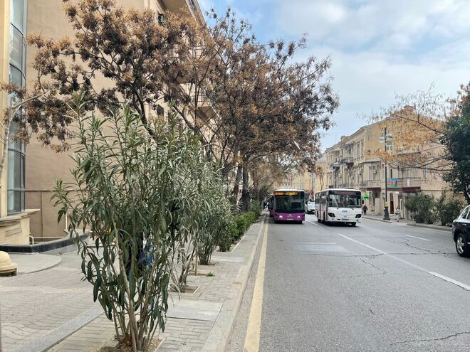 İcarəyə verilir  obyekt 300 m², İçəri Şəhər m., photo 21 from 32