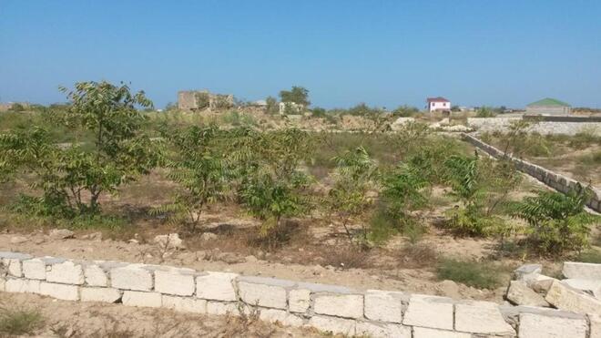 Продаётся  участок 12 сот, пос. Кюрдаханы, photo 3 from 12