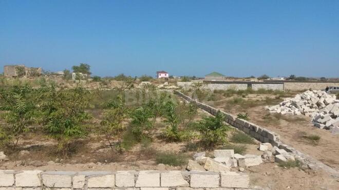 Продаётся  участок 12 сот, пос. Кюрдаханы, photo 4 from 12