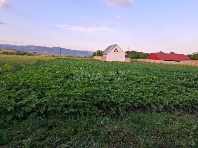 Satılır 2 otaqlı həyət evi/bağ evi 100 m², photo 9 from 14