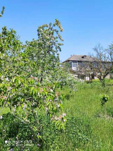 Satılır 5 otaqlı həyət evi/bağ evi 100 m², Xaçmaz r., photo 5 from 10