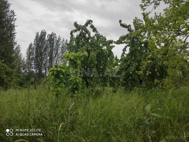 Satılır 5 otaqlı həyət evi/bağ evi 100 m², Xaçmaz r., photo 9 from 10