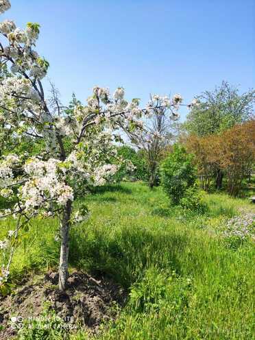 Satılır 5 otaqlı həyət evi/bağ evi 100 m², Xaçmaz r., photo 4 from 10
