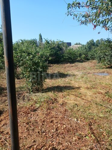 Продаётся  участок 12 сот, photo 3 from 7