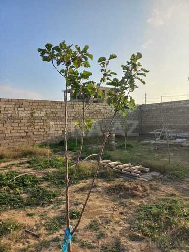 Продаётся 3-комн. дом/дача 80 м², пос. Гюргян, photo 20 from 24