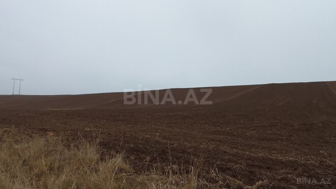 Продаётся  участок 1 800 сот, photo 3 from 4