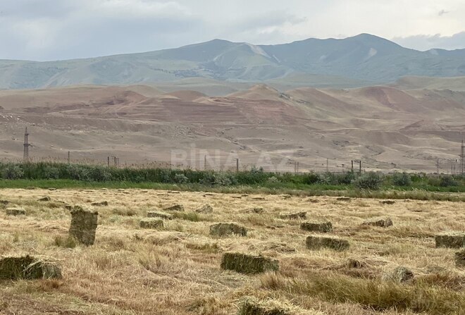 Продаётся  участок 200 сот, photo 7 from 9