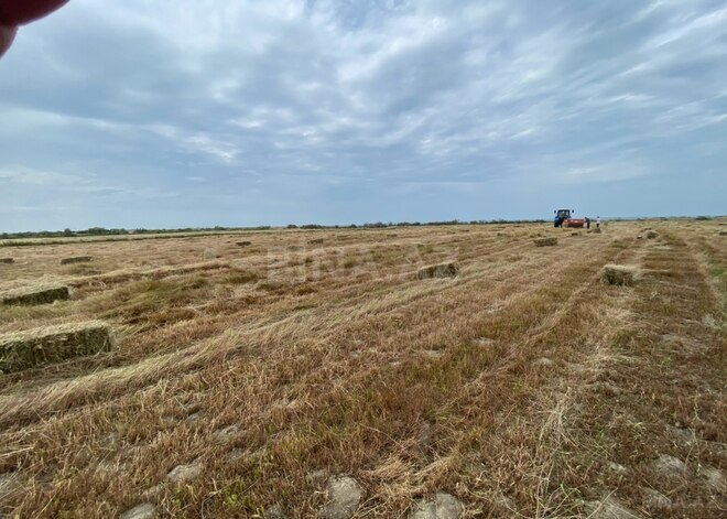 Продаётся  участок 200 сот, photo 5 from 9