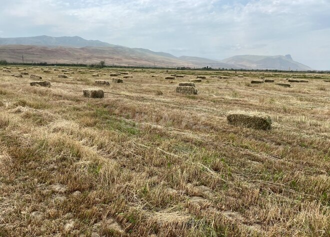 Продаётся  участок 200 сот, photo 3 from 9