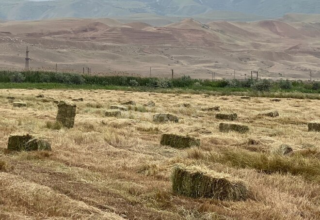 Продаётся  участок 200 сот, photo 6 from 9