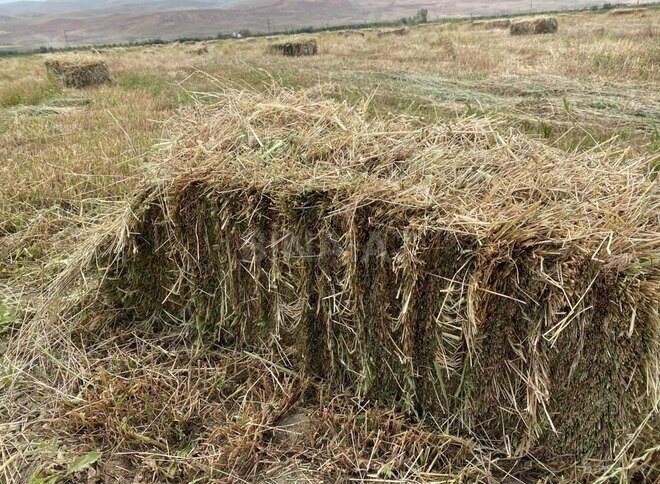 Продаётся  участок 200 сот, photo 4 from 9