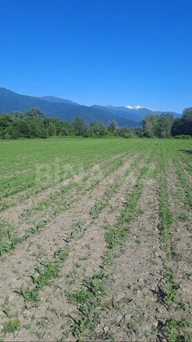 Продаётся  участок 1 100 сот, photo 6 from 7