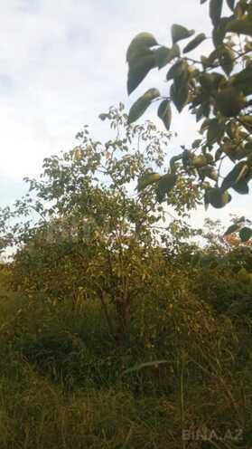 Satılır  torpaq 400 sot, photo 12 from 17